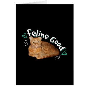 Chat Orange - Feline Good Pun