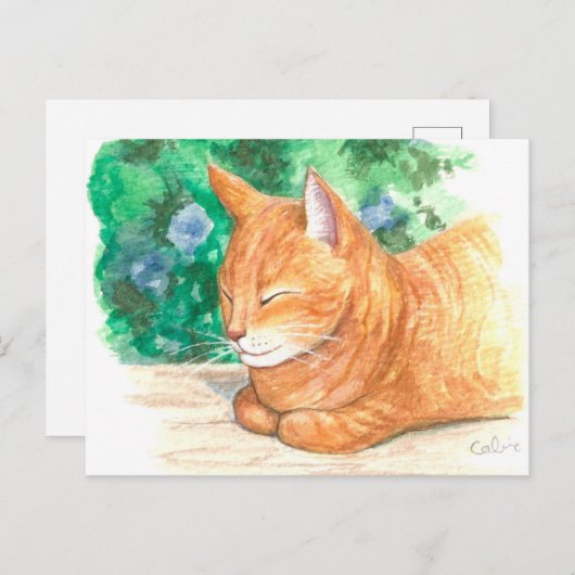 "Chat orange Relaxant." Carte postale (Devant / Derrière)