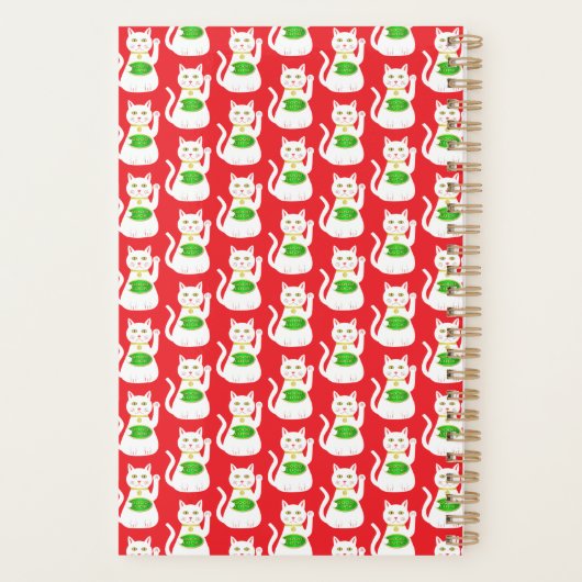 Chat Oriental Lucky (Dos)