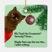 Chat ornement de Noël marron (Dos)