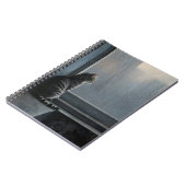 Chat par le Carnet Rainy Window (Côté gauche)