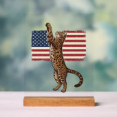 Chat patriotique Drapeau américain Design vectorie (Neutre)