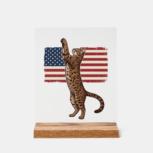 Chat patriotique Drapeau américain Design vectorie (Recto)