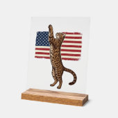 Chat patriotique Drapeau américain Design vectorie (Angle)
