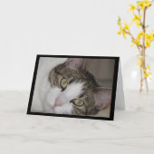 Chat pensif vous manquant carte de voeux (Fleur jaune)