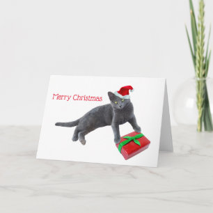 Chat Père Noël gris avec carte de Noël actuelle