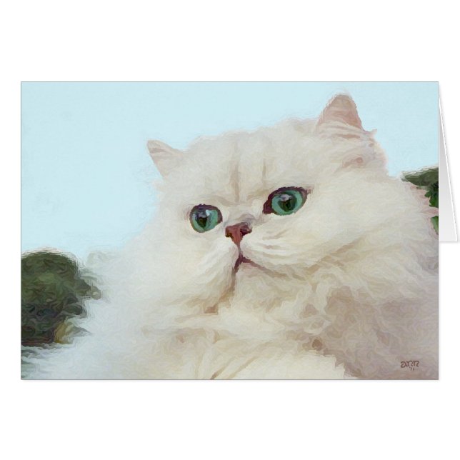Chat Persan aux Yeux de Jade (Devant horizontal)