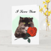 Chat persan avec la carte de rose rouge (Fleur jaune)