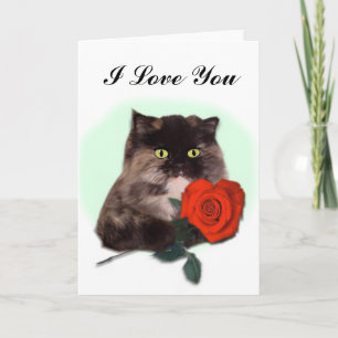 Chat persan avec la carte de rose rouge