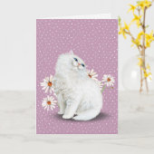 chat persan blanc avec carte de marguerites (Fleur jaune)