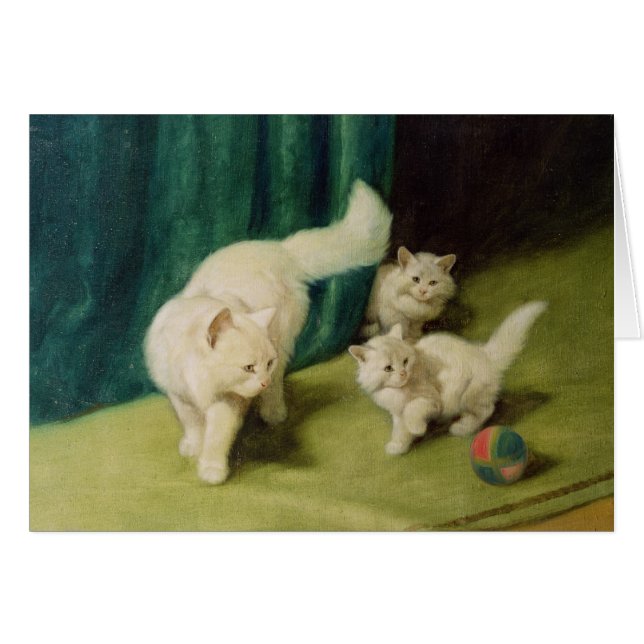 Chat persan blanc avec deux chatons (Devant horizontal)
