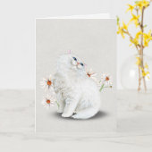 chat perse blanc avec carte de marguerites (Fleur jaune)