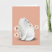 chat perse blanc avec marguerite Carte (Devant)