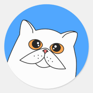 Chat perse blanc avec Stickers d'yeux orange