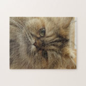 CHAT PERSIEN BEAU JIGSAW PUZZLE (Horizontal)
