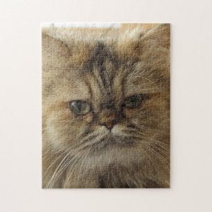 CHAT PERSIEN BEAU JIGSAW PUZZLE