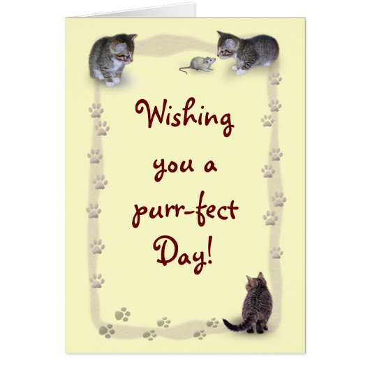 Chat personnalisable (Devant)
