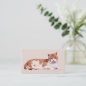 Chat personne carte de visite de Purrfect (Debout devant)