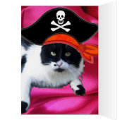 CHAT PIRATE ,Parlez Comme Un Jour De Pirate (Intérieur (Gauche))