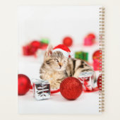 Chat portant le chapeau rouge du Père Noël (Dos)