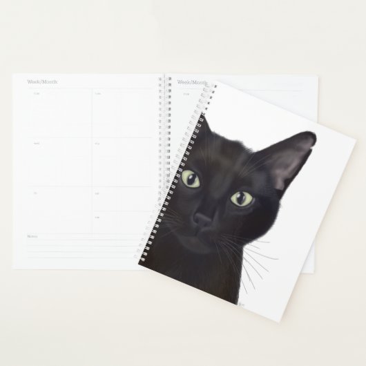 Chat, Portrait de Gus (Devant avec enveloppe)