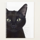 Chat, Portrait de Gus (Devant)