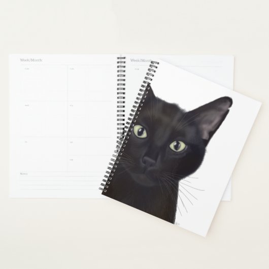 Chat, Portrait de Gus (Devant avec enveloppe)