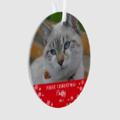 Chat première photo de flocon de Noël (devant)
