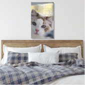 Chat Ragdoll Blanc Toile Emballée (Insitu(Chambre))