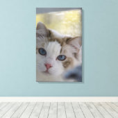 Chat Ragdoll Blanc Toile Emballée (Insitu (Plancher de Bois))