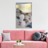Chat Ragdoll Blanc Toile Emballée (Insitu(Salon))