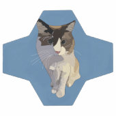 Chat Ragdoll, Bleu Poussiéreux (Plat)
