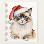 Chat Ragdoll de Noël Aquarelle (Devant)
