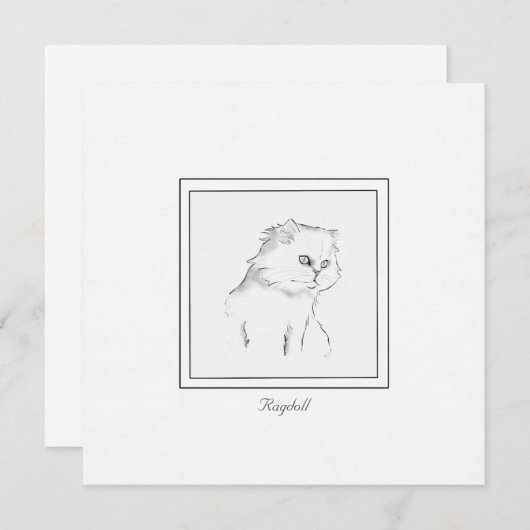 Chat Ragdoll noir et blanc Carte de billets contem (Devant / Derrière)