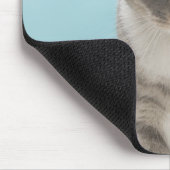 Chat regardant la souris de jouets sur le tapis (Coin)