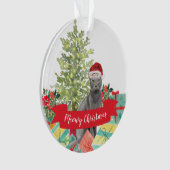 Chat russe bleu Meowy Noël (devant)