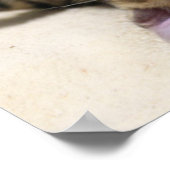 Chat se prélassant à la plage Poster Calendrier 20 (Coin)