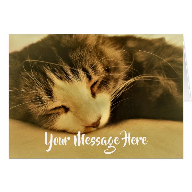 Chat Sépia Endormi Faisant la Sieste (Devant horizontal)