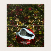 Chat Shorthair Grey en Red Santa Chapeau Noël 20XX (Outside Unfolded)