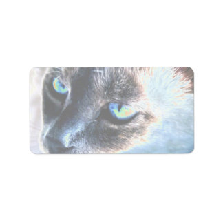 Chat Siamese Aloof Altered Étiquette II