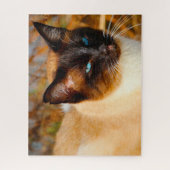 Chat siamois. Jigsaw Puzzle (Vertical)