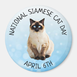 Chat siamois jour aimant national du 6 avril