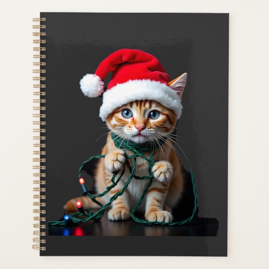 Chat siamois Noël col V (Devant)