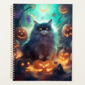 Chat Sibérien Halloween Avec Des Citrouilles Effra (Devant)
