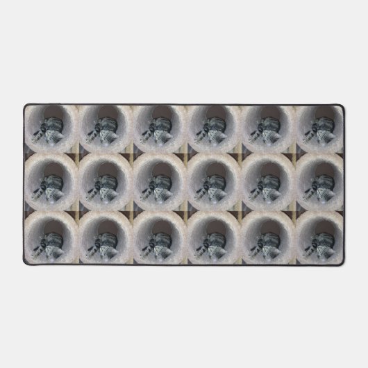 Chat Sleepy Kitty par Shirley Taylor (Recto)