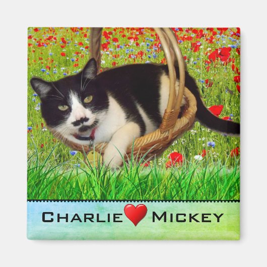 Chat Smoking en Basket Fridge Magnet (Devant)