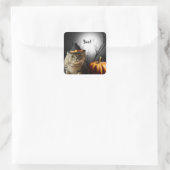Chat-sorcière Halloween avec Autocollants Citrouil (Sac)