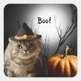 Chat-sorcière Halloween avec Autocollants Citrouil