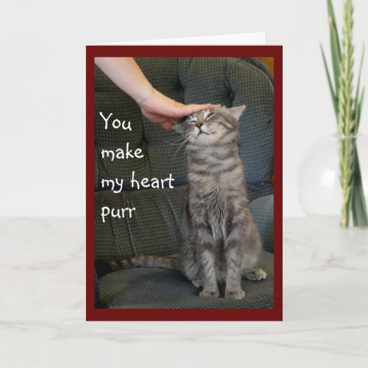 Chat Souriant En Méton Carte De Vacances (Devant)