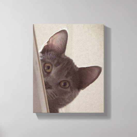 "Chat sournois" Imprimer sur toile étirée (Recto)